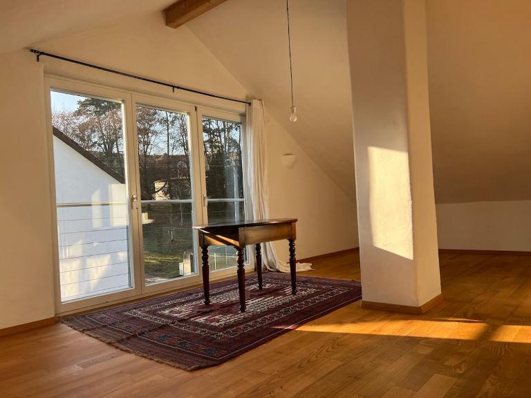 Cozy sunny rooms under the roof - Ferienwohnung Ulm
