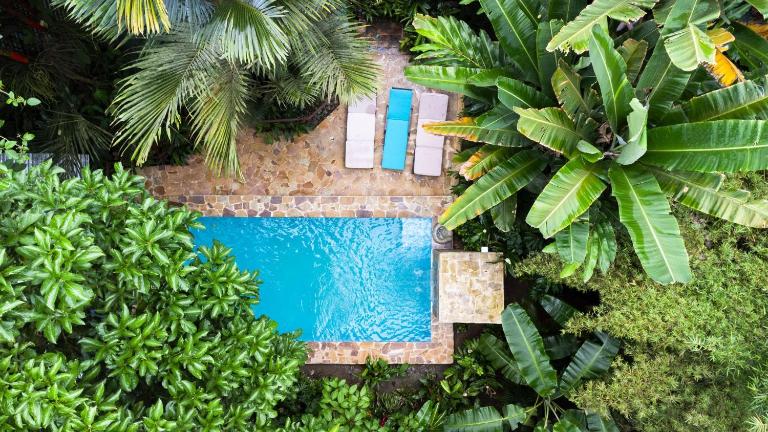 Private Caribbean Villa, Pool, Hot-Water Jacuzzi Tropical Garden - Chambres d'hôtes Cocles