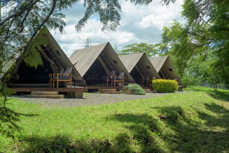 The Stripey Horse Camp and Restaurant - Chambres d'hôtes Kenplains