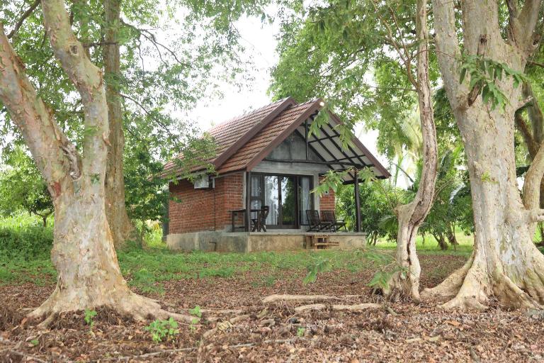 Aji fruit farm cottage peaceful lakeside farm stay with sunrise views 04 - B&B Embilipitiya