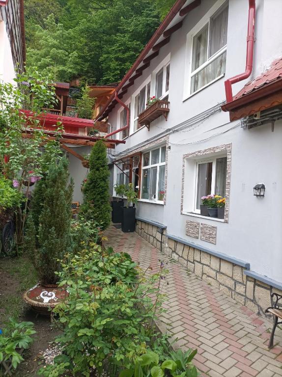 Casa Slanic House - Bed and Breakfast Slănic-Moldova