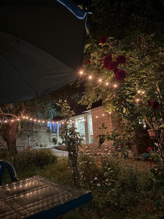 Hayk in Sanahin - B&B Sanahin