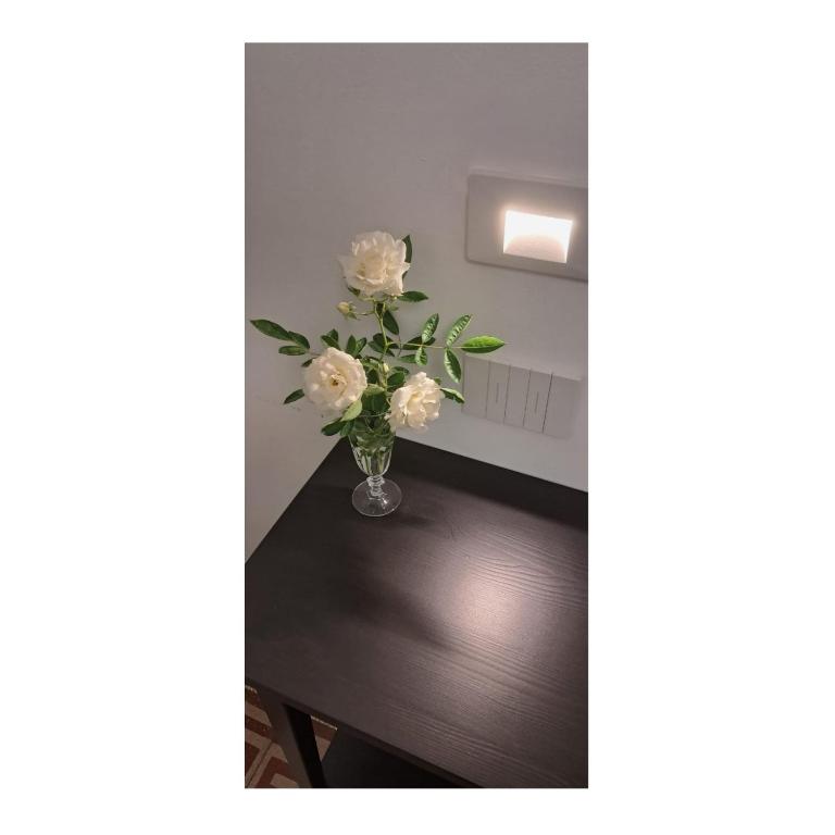 Trivia Rent - B&B Reggio Calabria