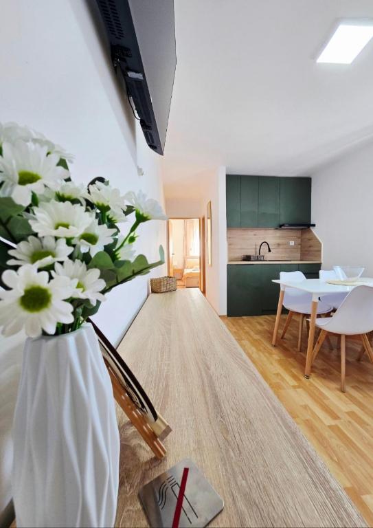 Apartmani Marija - Vila Marija - B&B Šilo