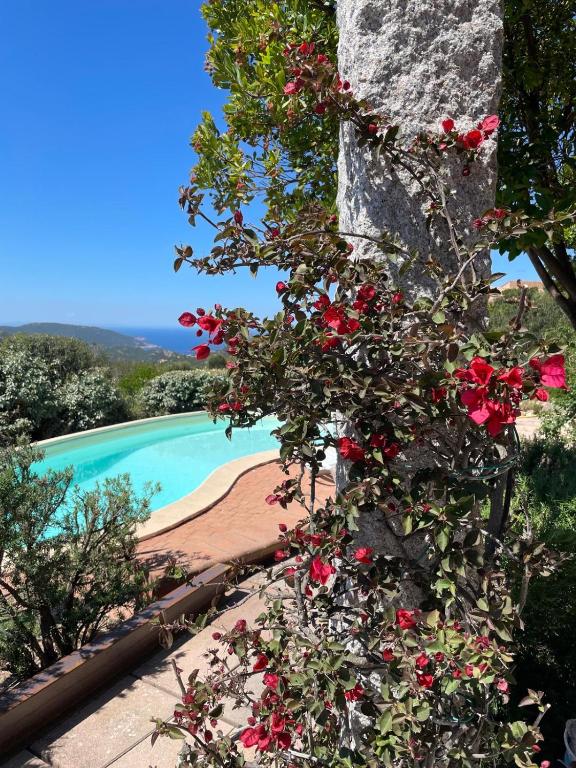 Sea Sky Villa with private pool - B&B Costa Paradiso