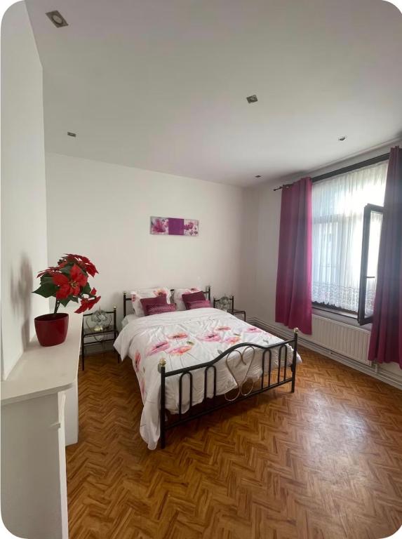 Grace Family Home - B&B Bruselas