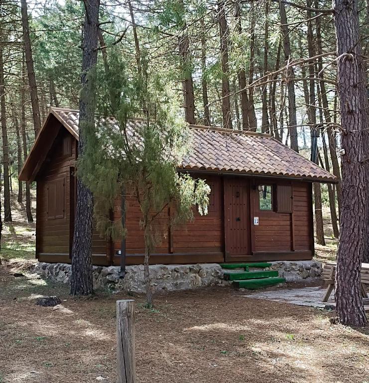 La cabaña de Magui - B&B Riópar