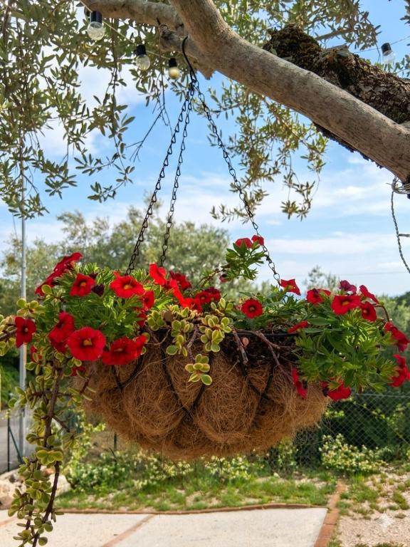 A Casa di Lucia - Appartamento Bilocale - B&B Piedimonte San Germano