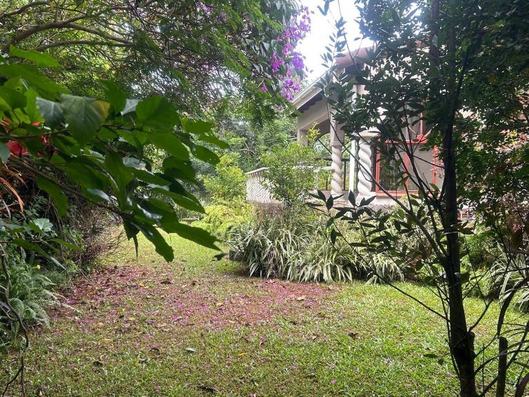 46 Minerva Avenue - B&B Pennington
