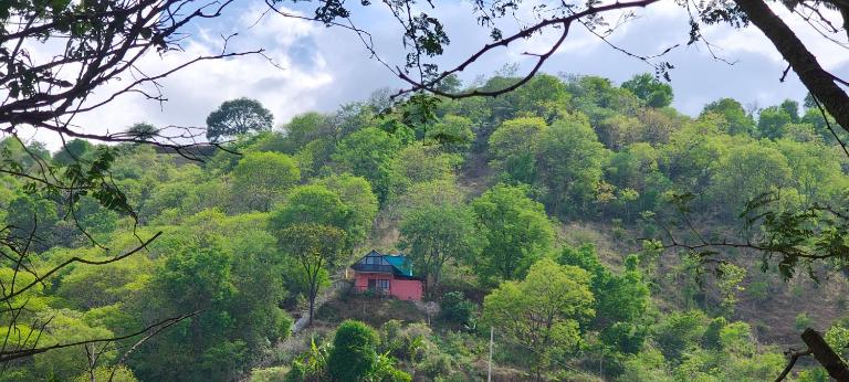 Dreamescape hillview homestay - Bed and Breakfast Agali