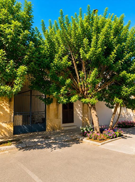 Casa Margottini - B&B Supersano