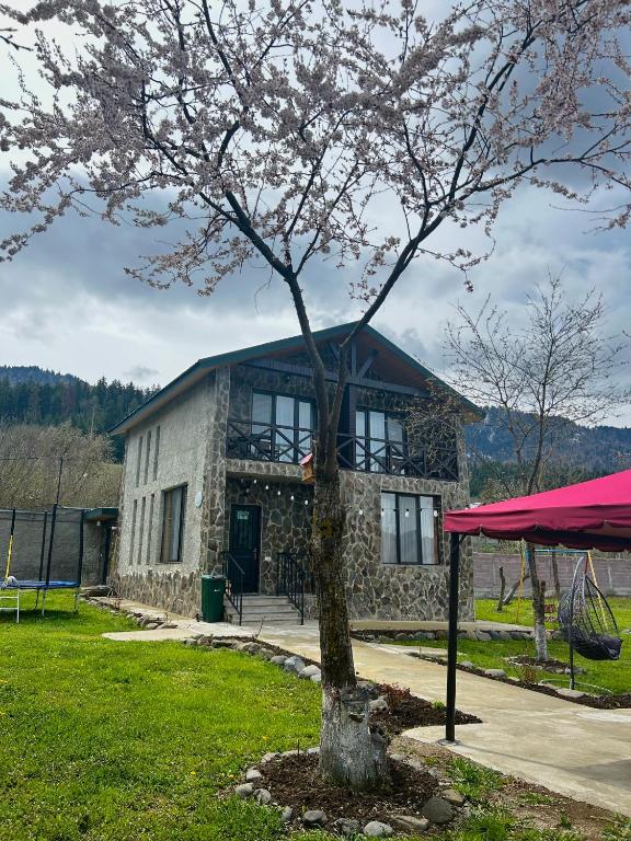 Villa Mzetamze - B&B Borjomi