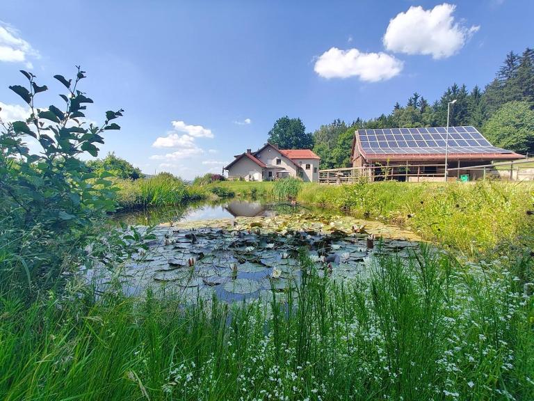 Naturdomizil in Alleinlage auf der Goaßleiten - B&B Rötz