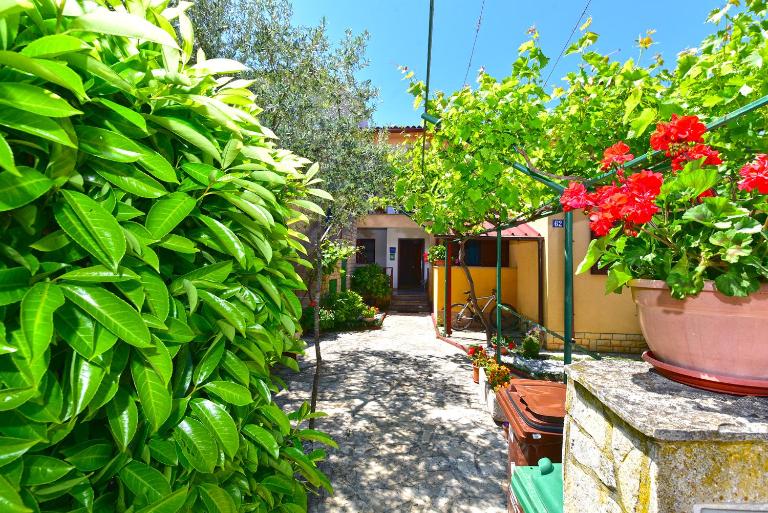 Apartments Dragan 2431 - Bed and Breakfast Fažana