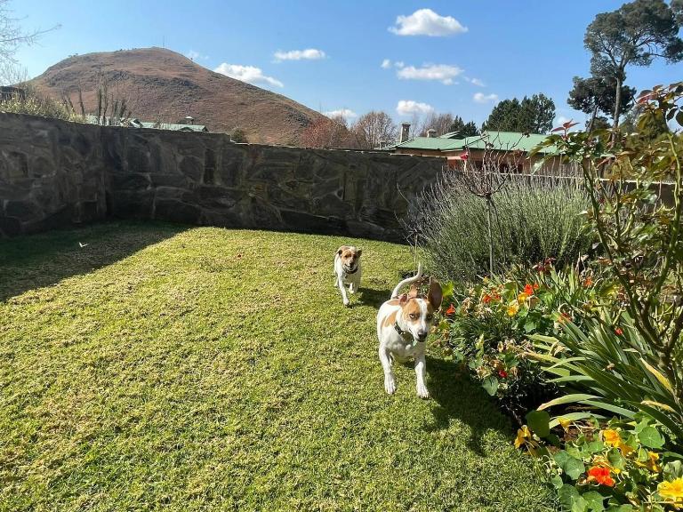 Charming 2-Bedroom House Rental in Scenic Dullstroom - B&B Dullstroom
