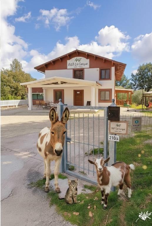 LE CERQUE - B&B Spoleto