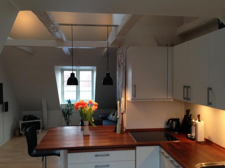 Penthouse loft - 2 bedrooms - centrally Copenhagen - B&B Copenaghen