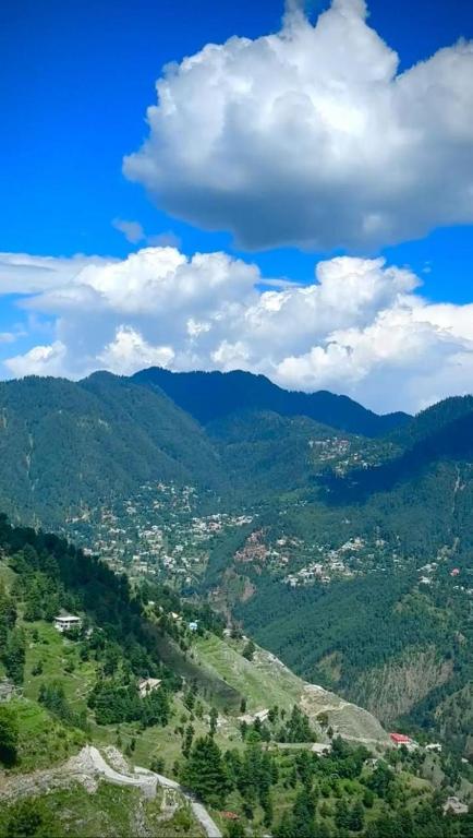 Eagle nest cottage nathia gali kalabagh - Bed and Breakfast Nathia Gali