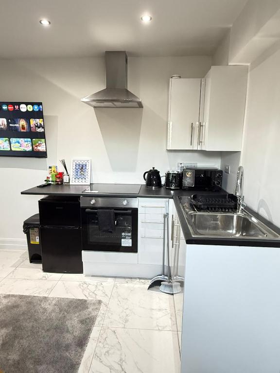 One Bedroom Luxurious Flat - Free Parking - B&B Rochester