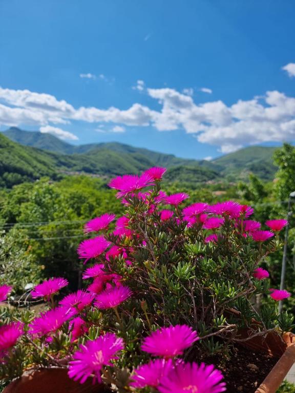 CASA VACANZE - Anna Holiday Home - Ferienwohnung Tramonti
