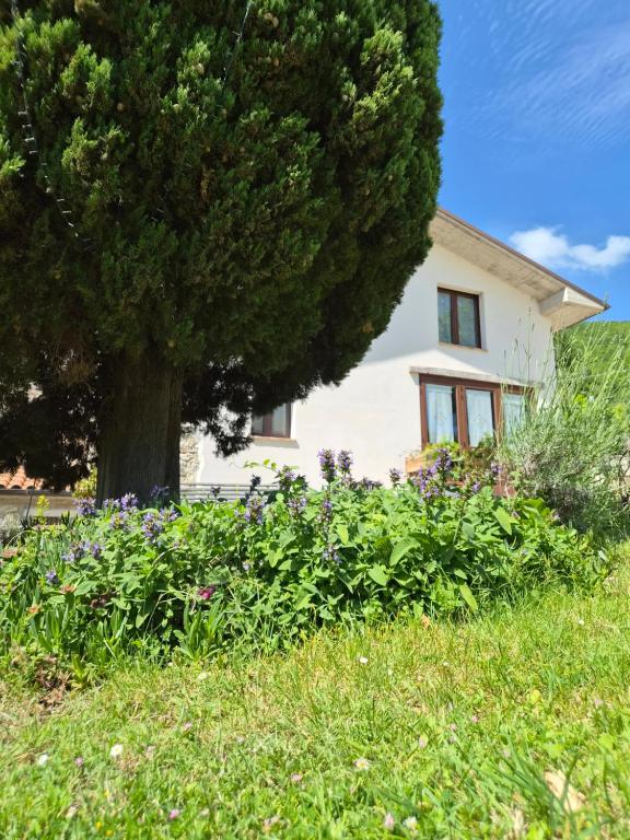 Agriturismo Vallonga - Ferienwohnung Poggio San Vicino