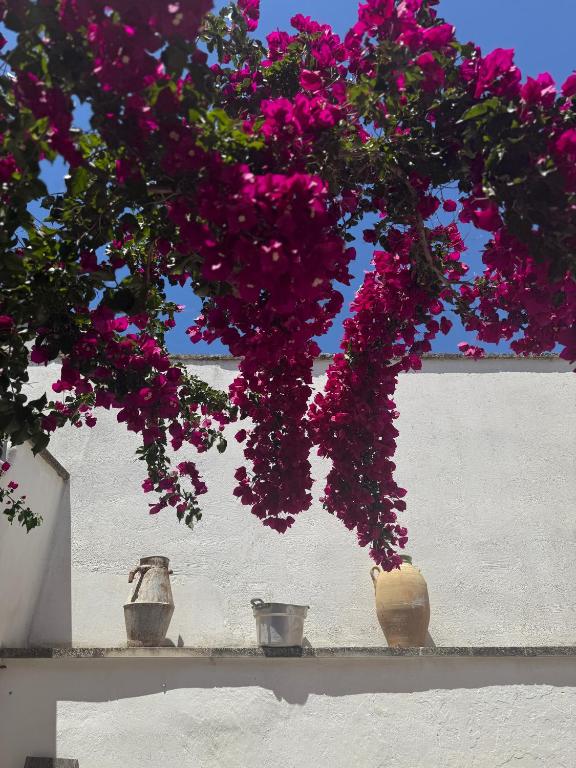 Nonna Annunziata, Casa tipica Salentina vicino le spiagge - B&B Gemini