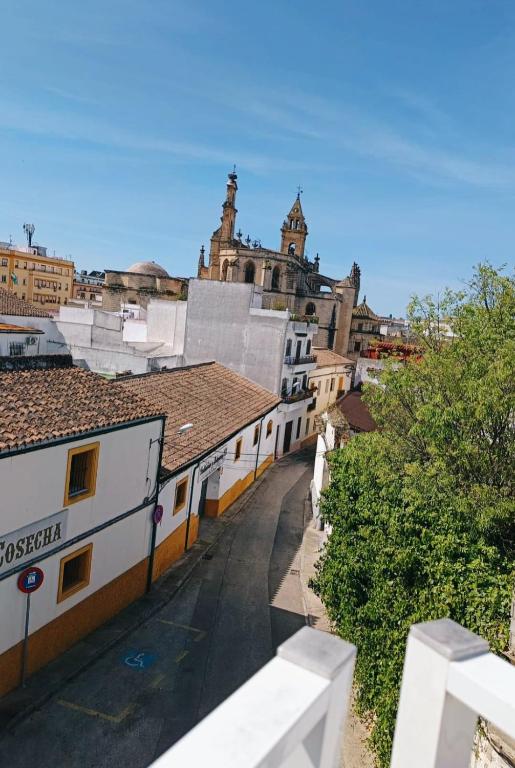 Spacious house in Santiago - Between wines and flamenco - Bed and Breakfast Jerez de la Frontera