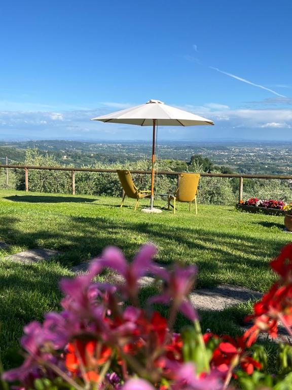 La Bella Veduta - B&B Ciciana