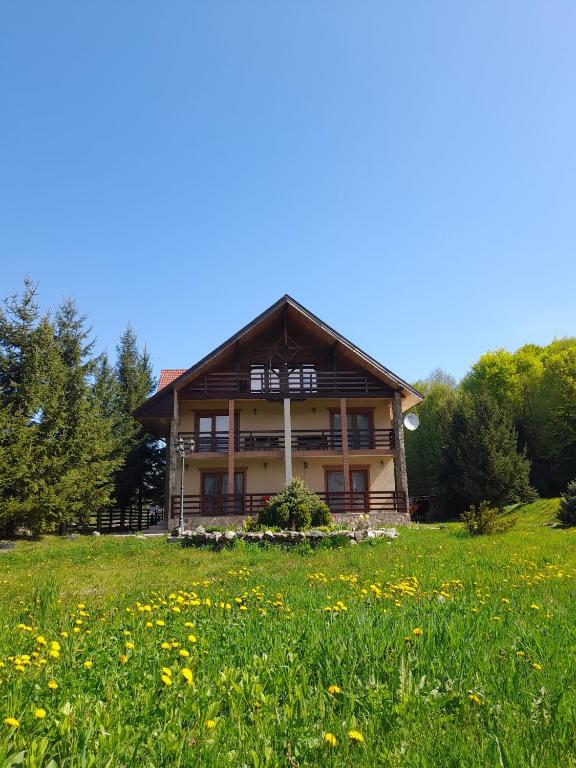 Cabana Andrea - B&B Arpașu de Sus
