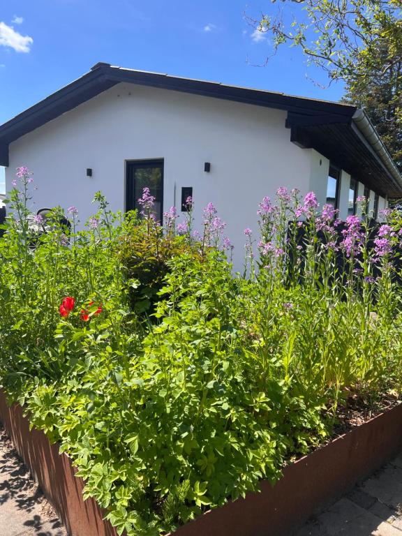 House with a lovely location - Ferienwohnung Børkop