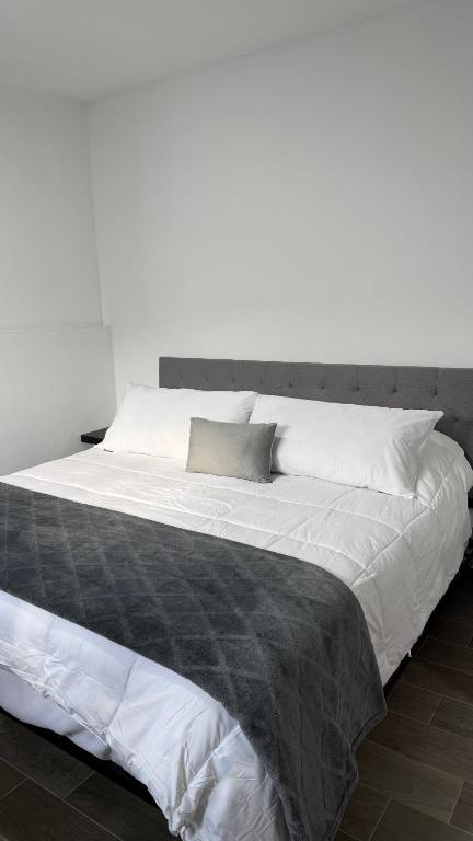 Loft en la mejor ubicación de Monterrey - B&B Monterrey