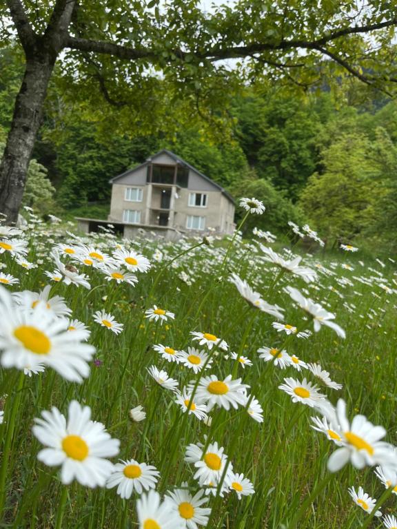 Guest House Tobuldar - B&B Kvemo Marghi
