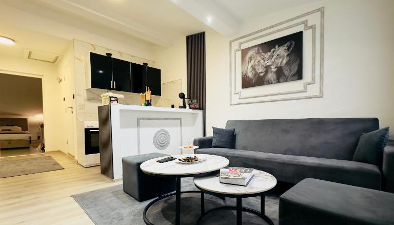 Apartment Advan Old Town Sarajevo - B&B Sarajevo