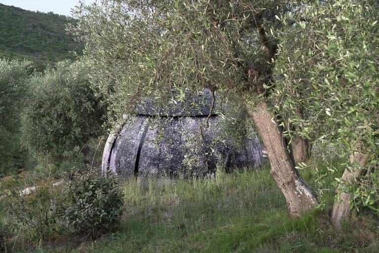 Cosmo Camp - Bed and Breakfast Montepescali