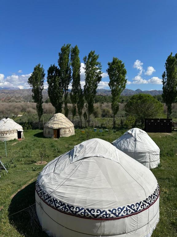 Konok Eco Farm Yurt Stay - B&B Kochkor