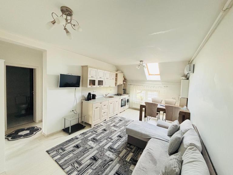Vlad Home 22 - apartament cu balcon și parcare privată - B&B Petrești