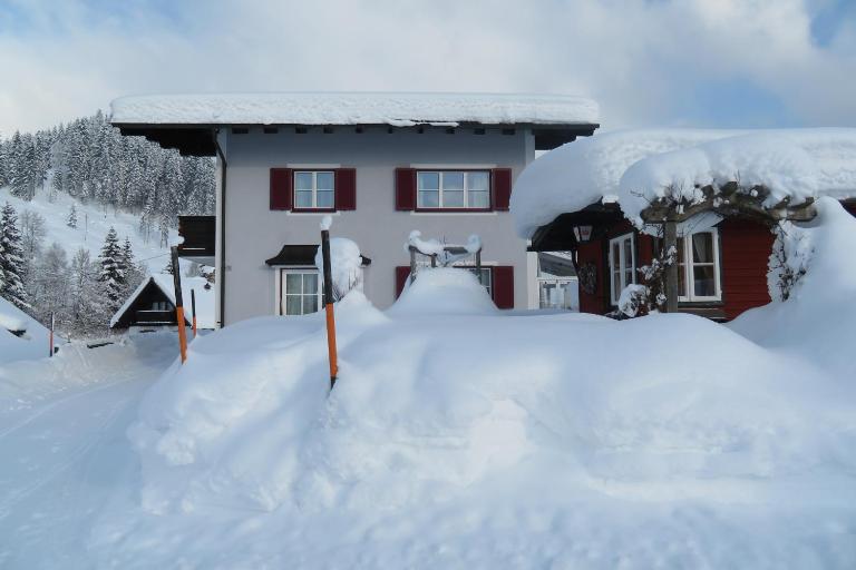 Haus Ortner - Chambres d'hôtes Russbach am Pass Gschütt