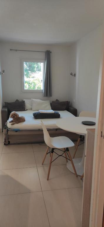 Residence Les Palmiers - Bed and Breakfast Nice
