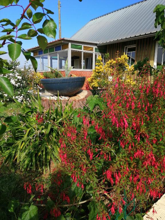 Casa do Pinheiro Country house near Óbidos with garden - B&B Carvalhal