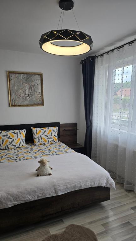 DOL House - Apartment - Bed and Breakfast Râşnov