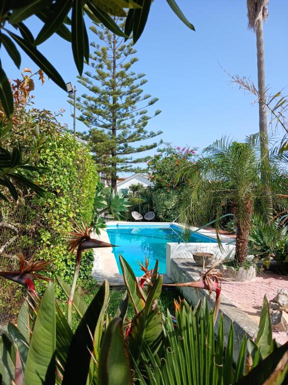 Villa Casa das Palmeiras - B&B Charneca de Caparica