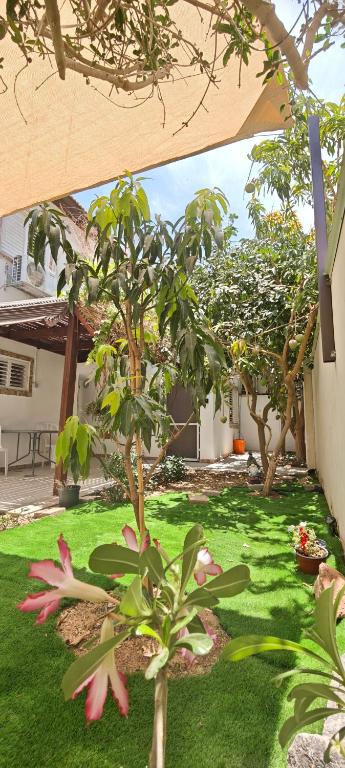 VeryMary, דירת גן באילת - B&B Eilat
