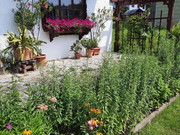Ferienwohnung Mutzenbauer - B&B Bad Endorf
