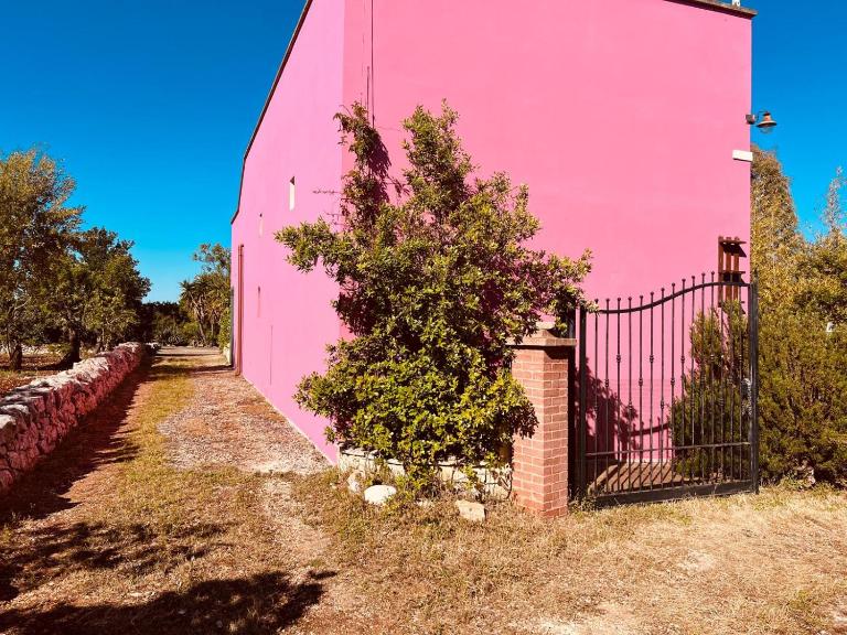 Zingarello Farm House - B&B Faccia di Trippa di Monte