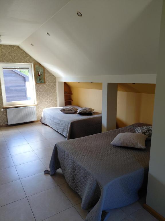Winda - B&B Liepāja
