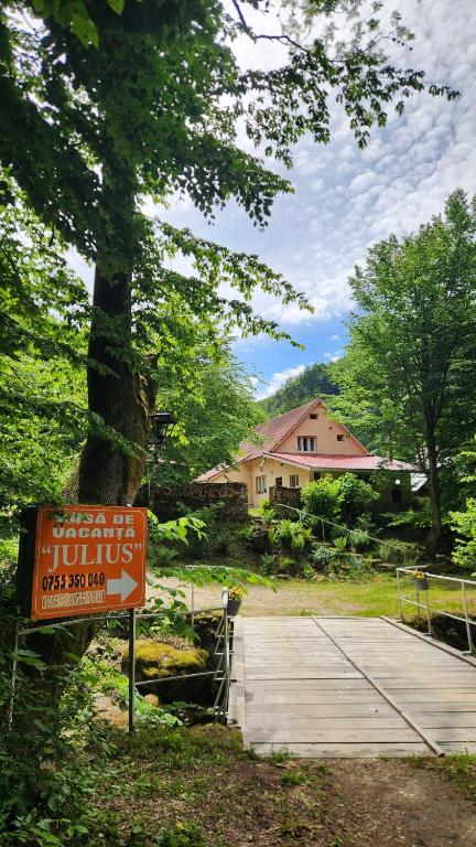 Casa de vacanta Julius - B&B Padiş