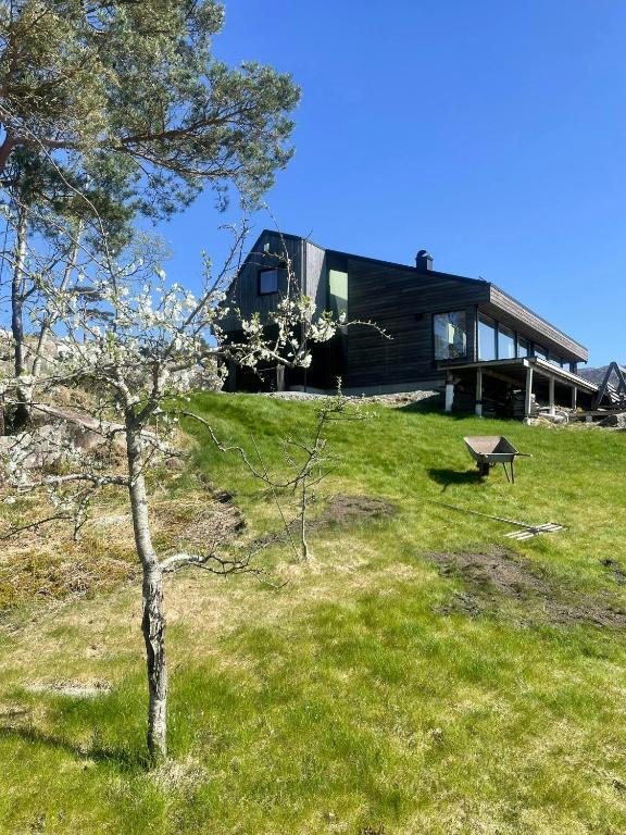 Architect's Cabin With Sea Views In Skjold - B&B Skjold
