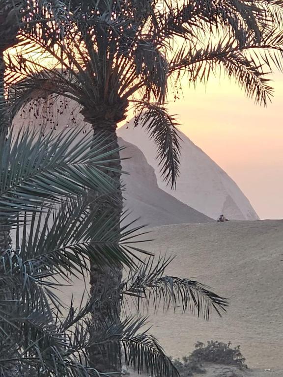 Dahshur Pyramids View Inn - Bed and Breakfast Gizeh