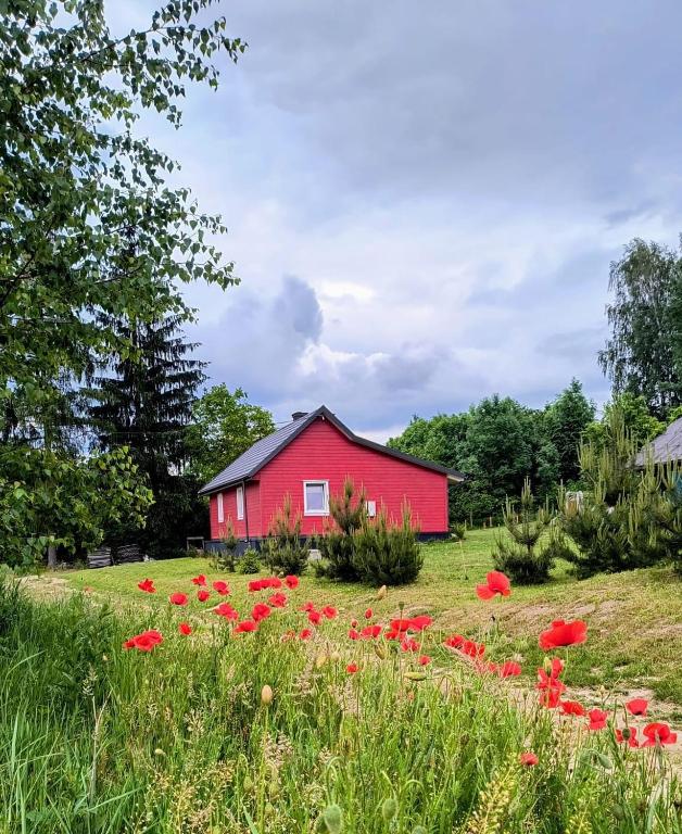 Leśne Doliny 38 - B&B Zwiartów