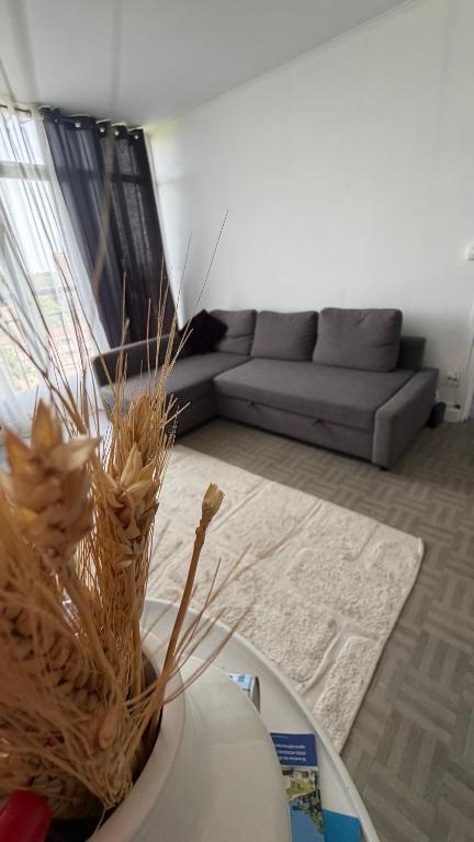 Grand Appartement Proche Orly & Paris - Chambres d'hôtes Savigny-sur-Orge